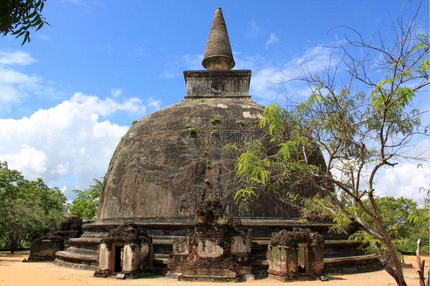 斯里兰卡Polonnaruva的石头和树木图片