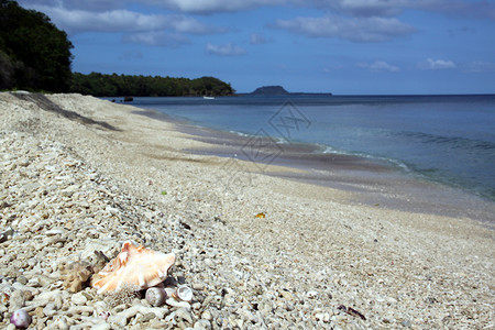 丢水弹瓦努阿图热带岛屿埃法特珊瑚海滩上的大弹背景