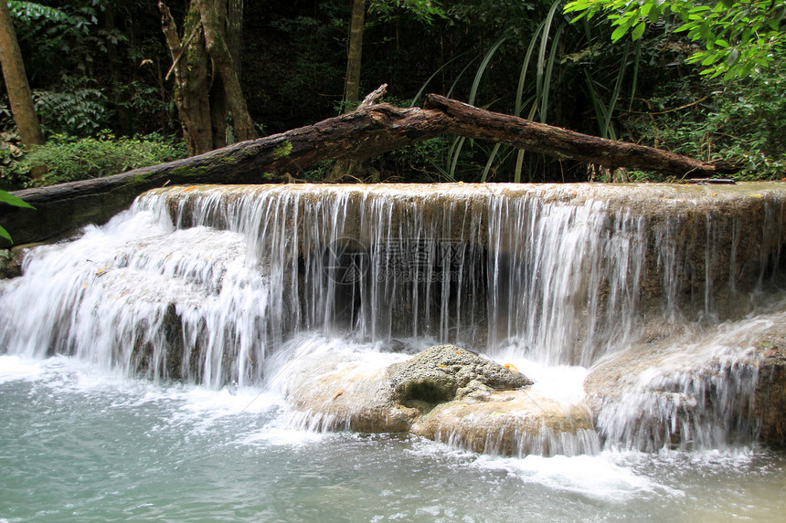 泰国Erawan家公园的大树和瀑布图片