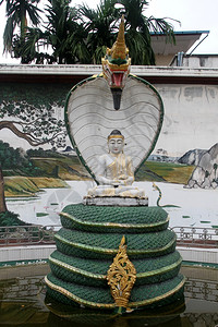 缅甸仰光佛教修道院和蛇纳加沉思的高清图片素材
