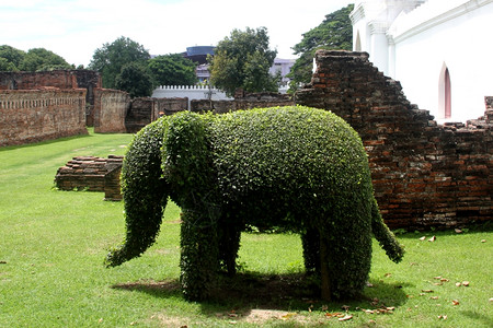 Narai宫殿和绿象墙壁泰国LopBrii图片