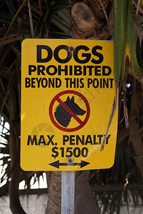 Austraslia的海滩上禁止狗图片