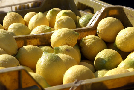 果园塑料盒中的黄柠檬图片