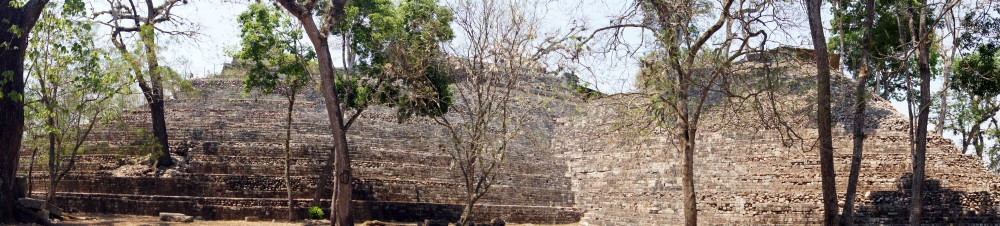 洪都拉斯科潘玛雅金字塔和树木全景图片