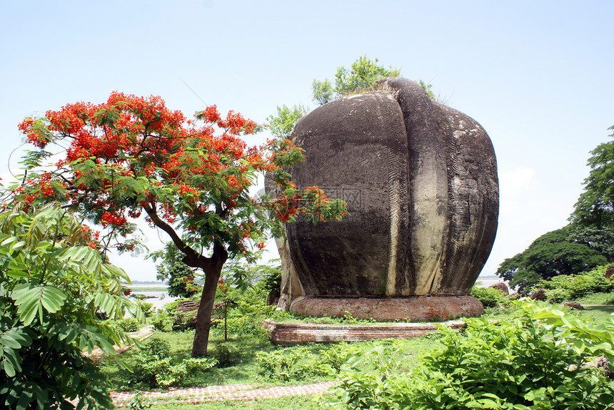 缅甸曼德勒明贡大象和树图片