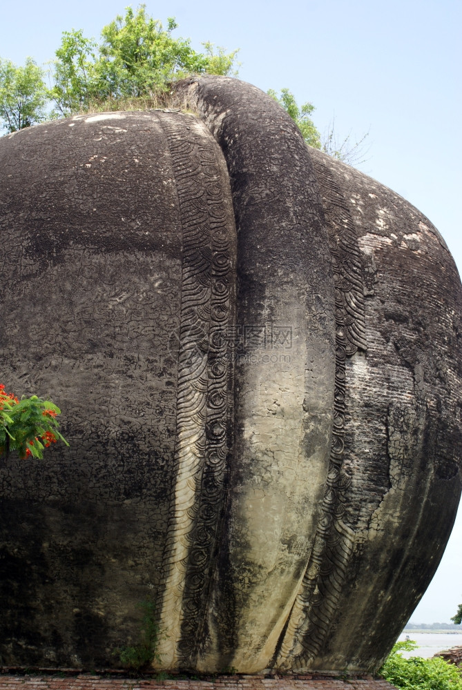 缅甸曼德勒明贡大象背部图片
