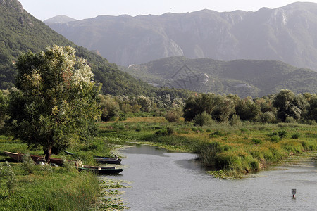 黑山斯卡达尔湖Virpazar的河流和船只高清图片