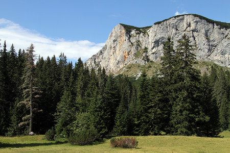 黑山杜米托森林和区图片