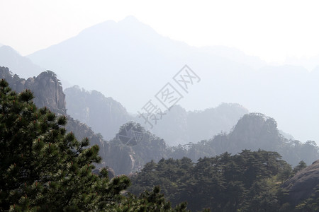 上午在黄山区背景