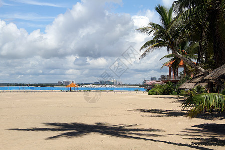 海南岛棕榈树和沙滩图片