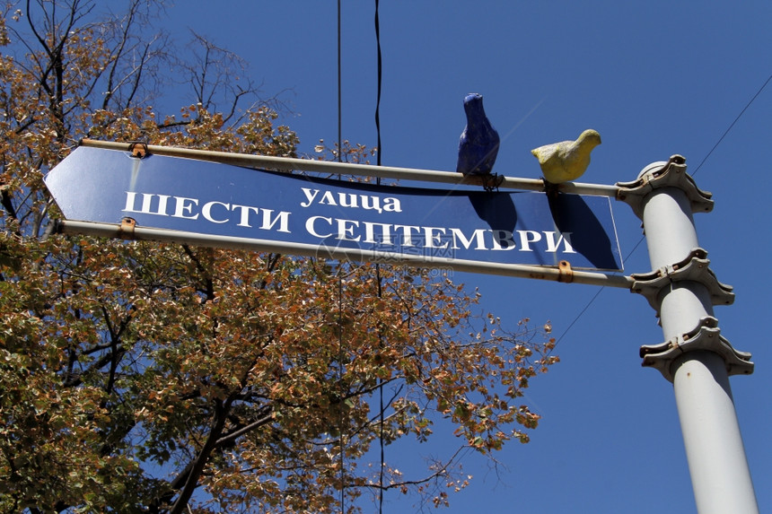 保加利亚索菲街上的蓝色标志图片