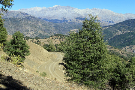 土耳其山区泥路和树木图片