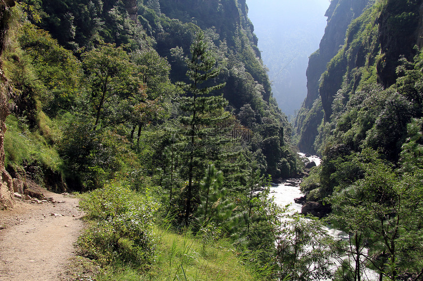 尼泊尔山区森林和河流附近的足道图片