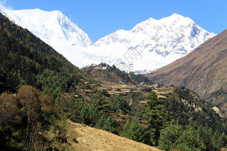 尼泊尔村庄和雪山图片