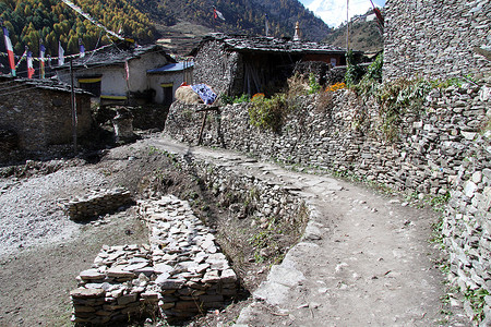 尼泊尔的石路和村图片