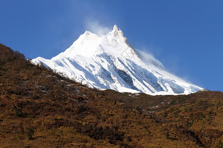 尼泊尔马纳斯卢和秋季森林的雪峰图片