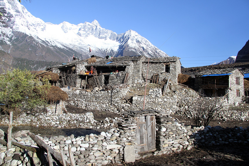 尼泊尔萨马贡的传统民居和马纳斯卢峰图片