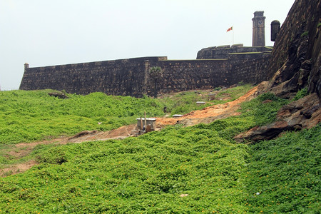斯里兰卡加勒的绿草和堡垒墙图片