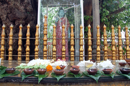 斯里兰卡Katataragama树下佛教圣殿图片