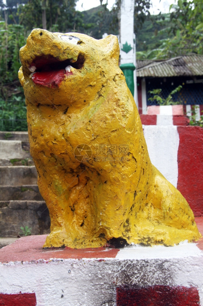 斯里兰卡钦都神庙附近的黄狮图片
