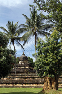 斯里兰卡Kandy树下小石朝都寺庙图片