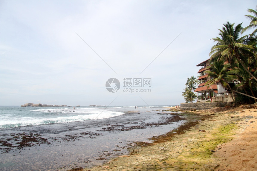 斯里兰卡Hikkaduwa的海滩和棕榈树图片