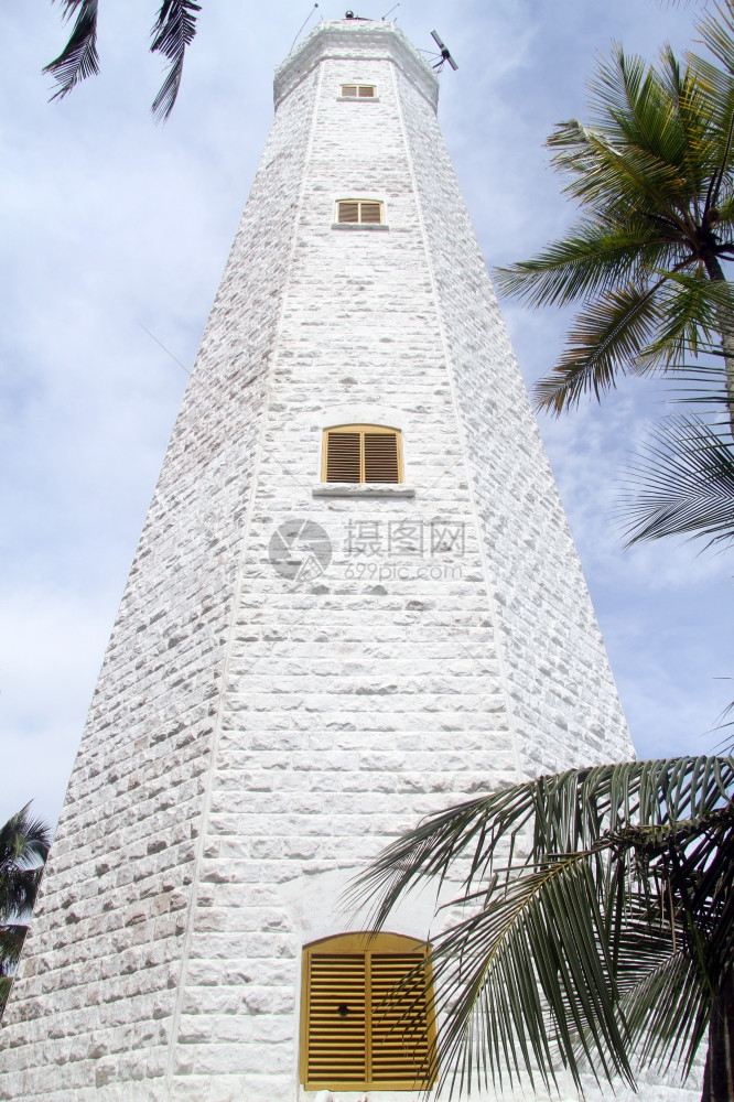 斯里兰卡顿德拉高灯塔和棕榈树图片