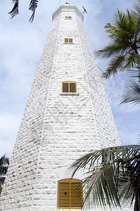 斯里兰卡顿德拉高灯塔和棕榈树背景图片