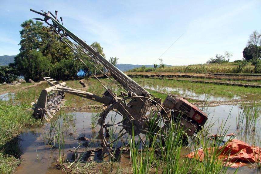 印度尼西亚水稻田人工拖拉机印度尼西亚图片
