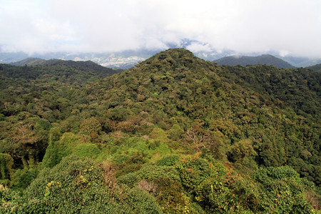马来西亚TanahRata附近的Cameron高地景象图片