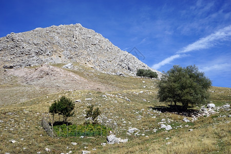 土耳其山坡上的小型加尔登图片