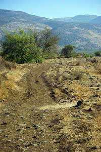 以色列Holan高地附近的泥土路图片