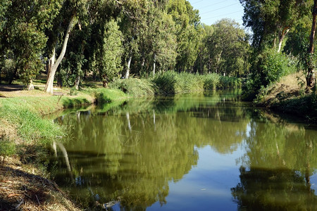 以色列特拉维夫Yarkon河附近公园图片