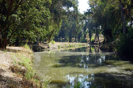 以色列特拉维夫Yarkon河附近的树木图片