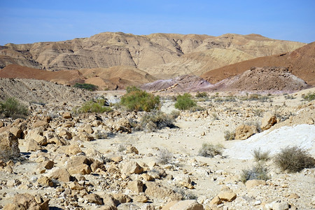 乌斯劳尔州内盖夫沙漠雷蒙图片