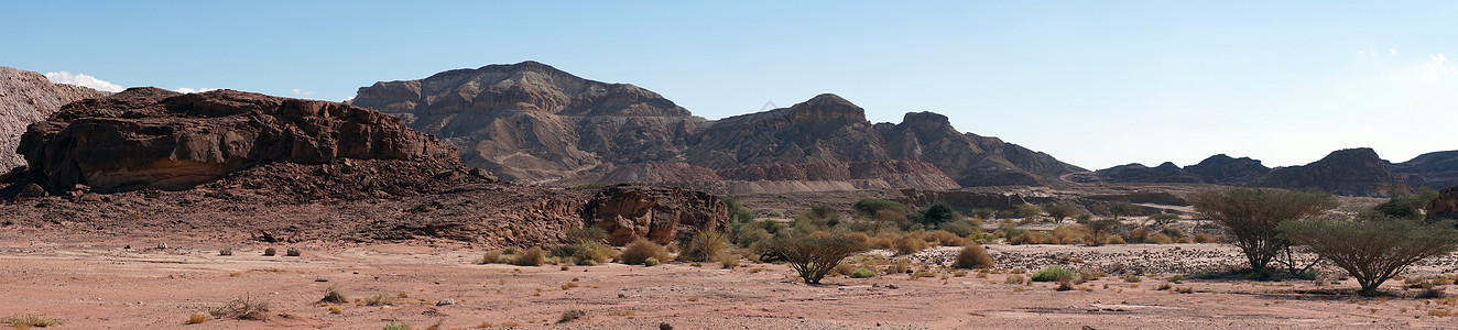 以色列内盖夫沙漠TimnaPsrk的全景图片