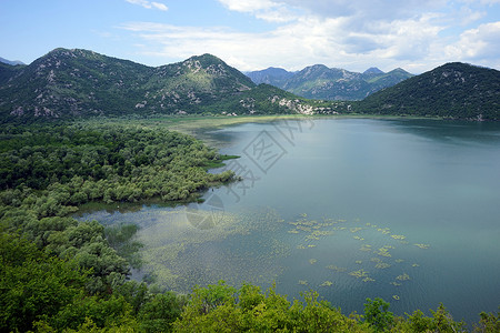 黑山Skadarsko湖的一部分高清图片