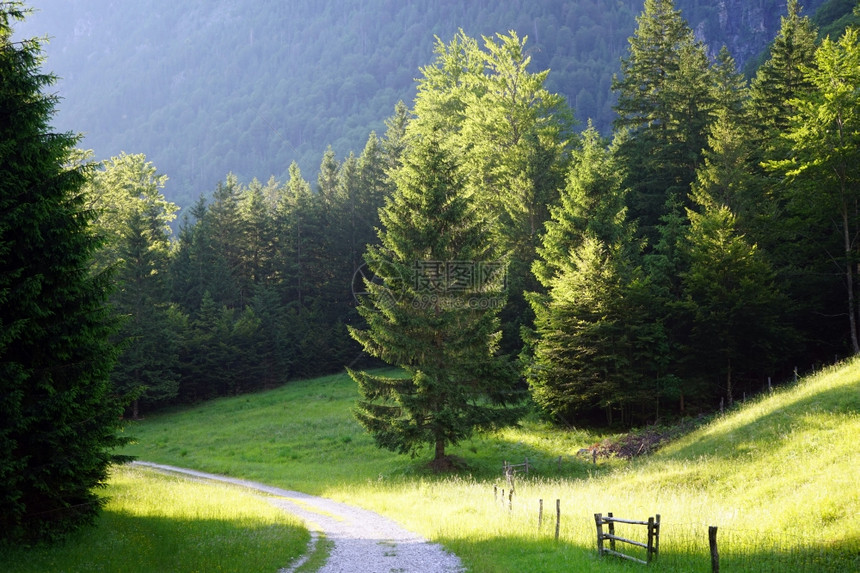 斯洛文尼亚山区的公路和森林图片