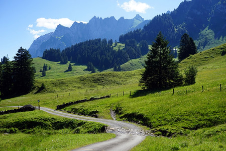 瑞士山坡绿上的公路图片