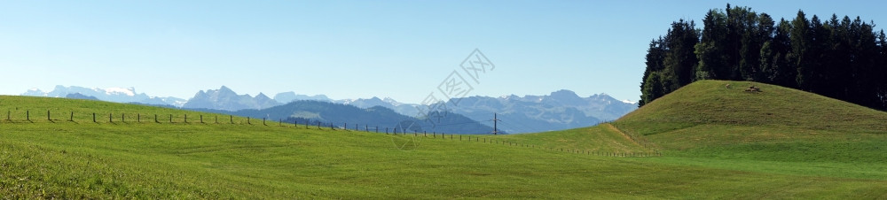瑞士绿田全景图片