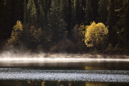 秋树黄中的洛基山湖图片