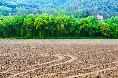 环绕着森林和犁田的意大利农场图片
