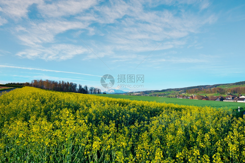 瑞士阿尔卑斯山的小村庄高地图片