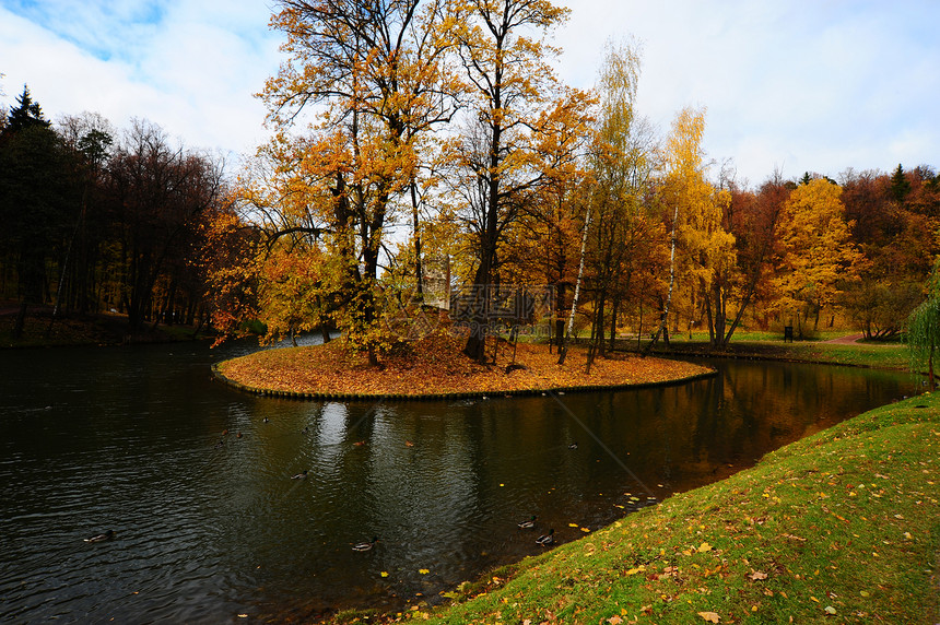 秋天公园里有野鸭的池塘图片