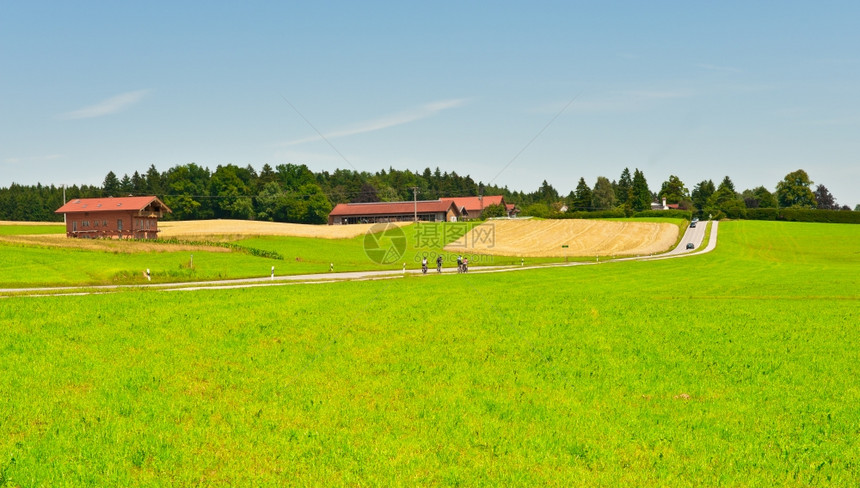 德国巴伐利亚玉米和小麦田之间公路上的自行车图片
