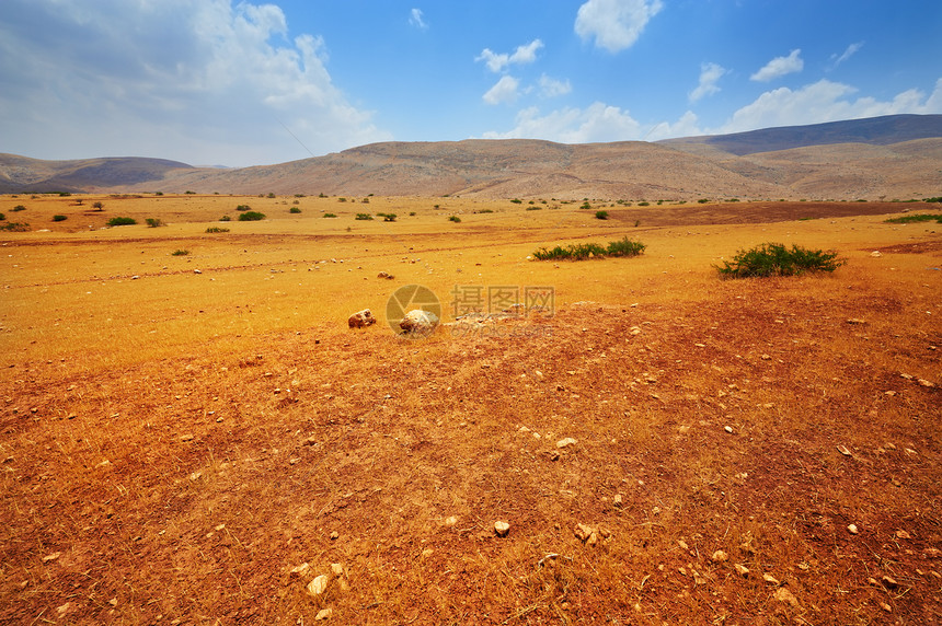 以色列Samaria山沙丘的石头图片