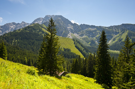 德国巴伐利亚阿尔卑斯图片