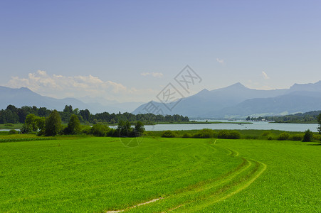 巴伐利亚州基姆西湖附近Meadow图片
