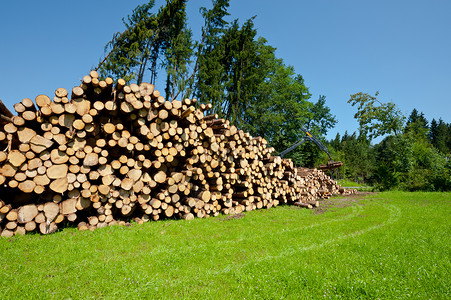 德国南巴伐利亚的木图片
