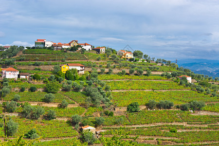 葡萄牙山上的庄园图片